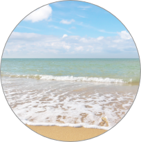 Quick Links - Explore Playlists