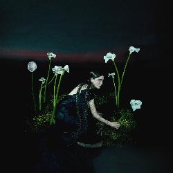 A Requiem 