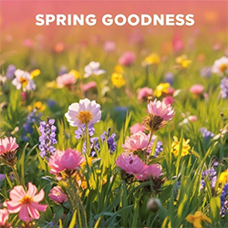 Spring Goodness